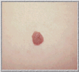 joanya.gif